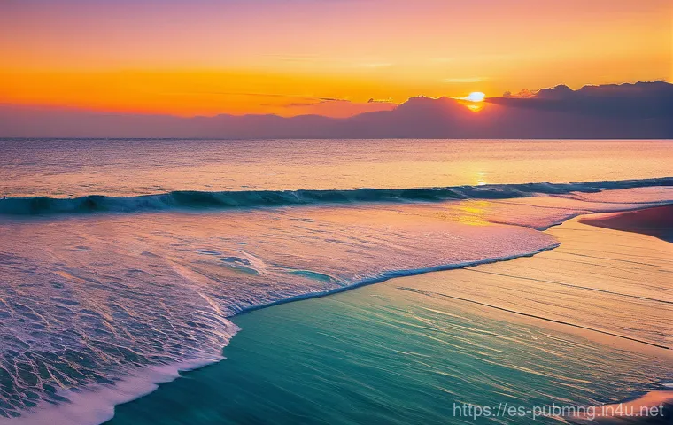 공공관리사 자격증의 경쟁력 - Here are three detailed image generation prompts: